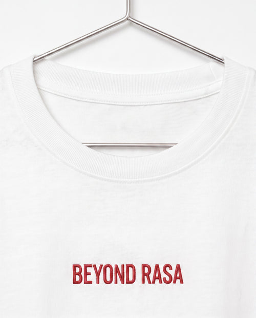 Beyond Rasa